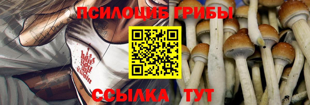 Галлюциногенные грибы Magic Shrooms Северодвинск